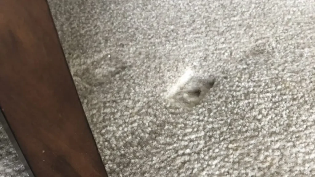 از بین بردن جای مبل روی فرش و موکت